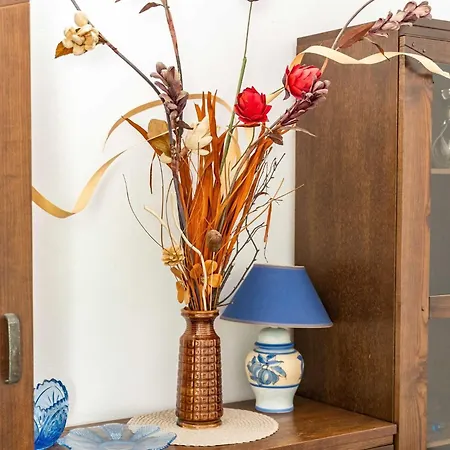 Nikolina Lu - One-bedroom With Balcony Apartmán *